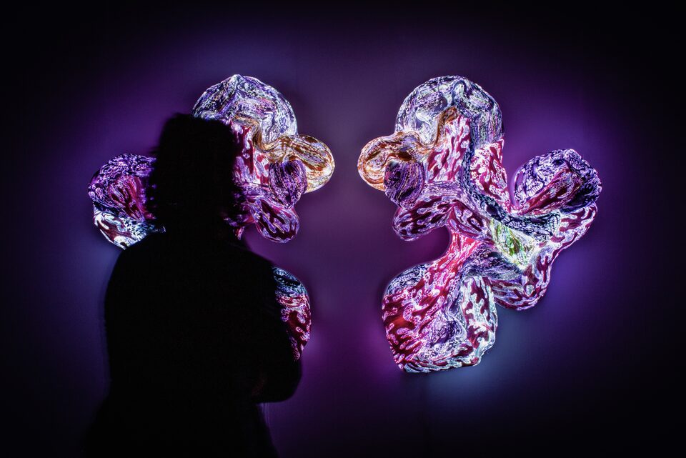 Silhouette of a visitor before two textile sculptures glowing in violet and magenta light, the artwork Andetag no. 3.